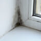 musty smells in your house are caused my mold and mildew